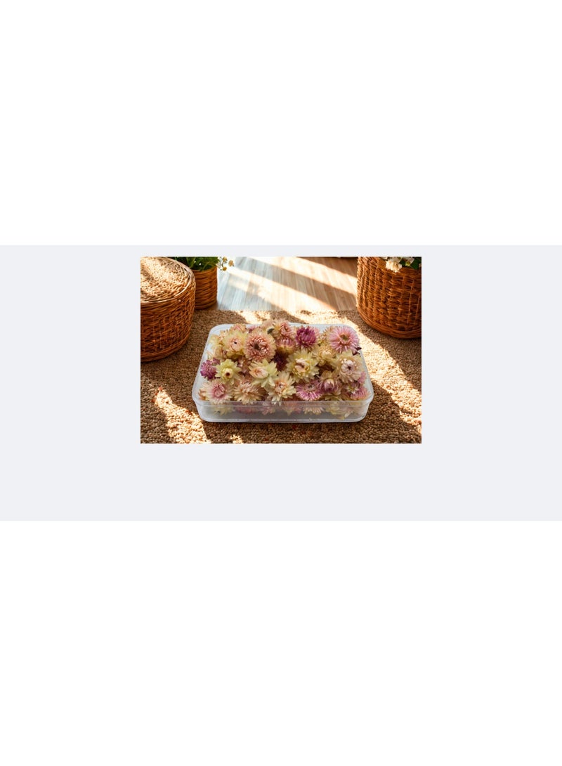 FANCY FLOWERS FANCY Natural Dried Helichrysum Flowers – Dry Floral Decor for Crafts, Weddings & Home Décor – Assorted Colors (White, Pink, Yellow) – Bulk Dried Flowers in Gift Box (PINK, SMALL) - Image 5