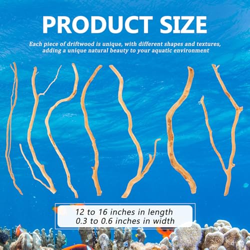 Solsew 250g Natural Driftwood for Aquarium 12''-16'' Reptile Branches Terrarium Wood Long Driftwood for Aquarium Assorted Shapes Natural Decor - Image 2
