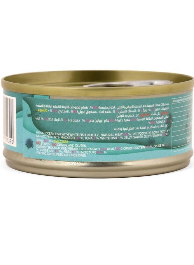 MR CAT Cat Adult And Kitten Wet Food Ocean Fish with white Fish in Jelly Flavor Pack Of 6 - Image 3