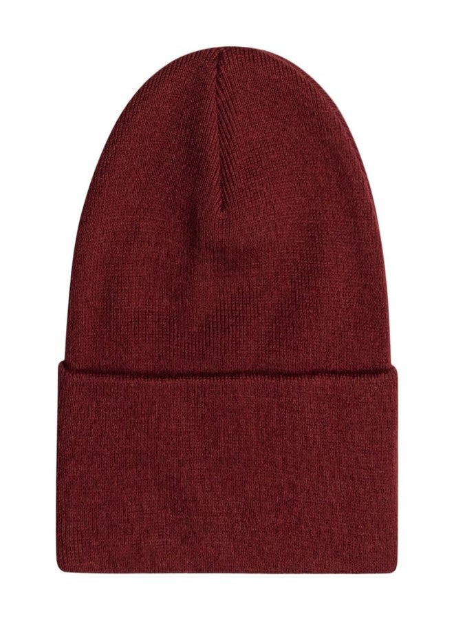 Element Men's Dusk Beanie, Tawny Port - Image 2