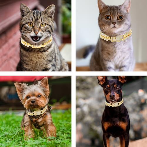 Amabro Cat Chain Collar, Diamond Cuban Link Kitten Walking Collar with Secure Buckle 12mm Wide Pet Rhinestones Necklace Metal Chain Jewelry Accessories for Cats Dogs Kittens Puppies 8inch(Gold) - Image 5