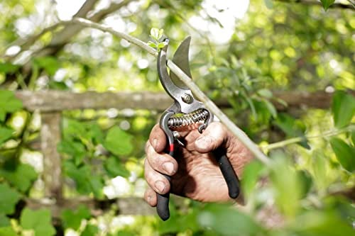 Spear  Jackson Spear & Jackson 5559BS Razorsharp Vintage Style Bypass Pruners, Black & Silver - Image 5