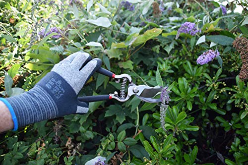 Spear  Jackson Spear & Jackson 5559BS Razorsharp Vintage Style Bypass Pruners, Black & Silver - Image 3