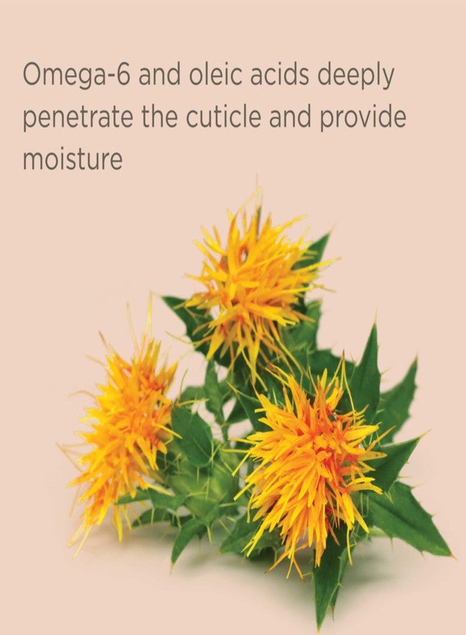 Hairitage Held High Hydrating Volume Conditioner, 13 oz - Nourishes and gently detangles dry, fine hair with Jojoba Oil - For Hair Types 2B-4C - Image 4