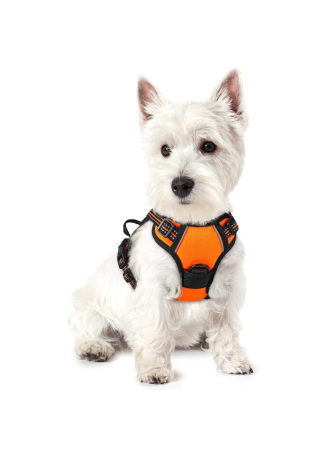 Rabbitgoo Dog Harness No Pull with 2 Leash Clips, Adjustable Soft Padded, Reflective Oxford No Choke Pet Vest with Easy Control Handle for Puppy, Orange,XS - Image 1