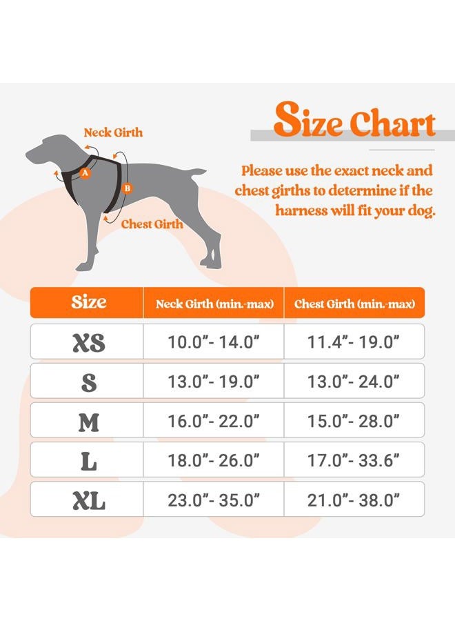 Rabbitgoo Dog Harness No Pull with 2 Leash Clips, Adjustable Soft Padded, Reflective Oxford No Choke Pet Vest with Easy Control Handle for Puppy, Orange,XS - Image 2