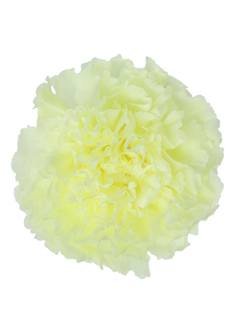 Generic Eternal Carnation Flower Heads 8pcs DIY Bouquet Lemon yellow 