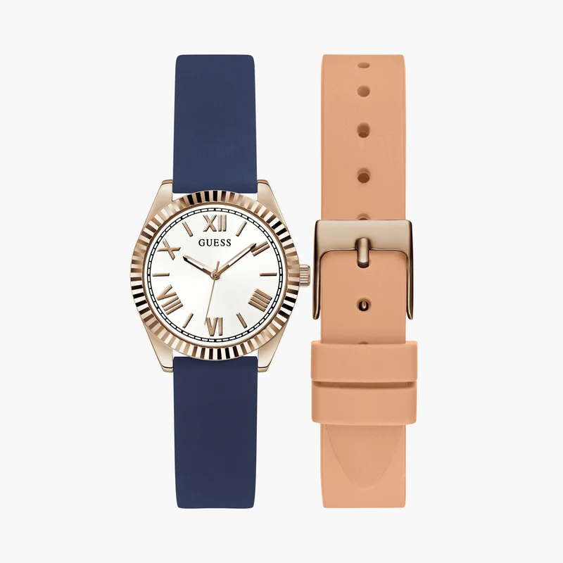 جس Blue Analog Watch with Interchangeable Strap for Women