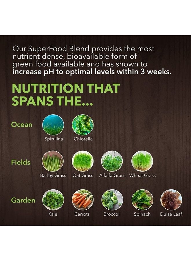 sotru - PlantFusion Alkalizing Super Greens Powder - Fermented Greens Superfood Powder Blend with Digestive Enzymes Probiotics & Prebiotic Fiber - Organic, Non-GMO, Vegan, Gluten-Free - 8.46 oz 30 Servings - Image 1
