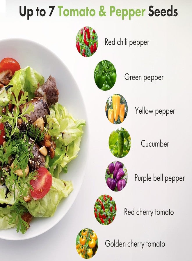 LYKOCLEAN 12 Pods Cherry Tomato Seed Pod Kit for AeroGarden, idoo, Ahopegarden Hydroponic Growing System Indoor Include Red Chili/Purple Bell/Green/Yellow Pepper, Golden/Red Cherry Tomato, 400+ Seeds - Image 2