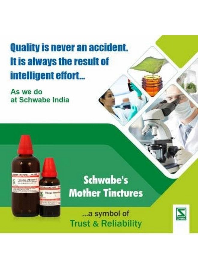 Schwabe Dr.Willmar Schwabe India Sabal Serrulata Mother Tincture (4 x 30) - Image 5