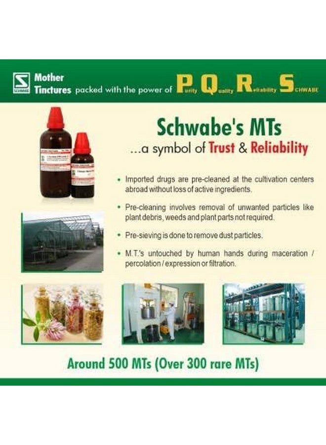 Schwabe Dr.Willmar Schwabe India Sabal Serrulata Mother Tincture (4 x 30) - Image 4