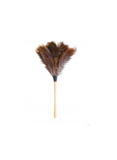 Generic Ostrich feather duster 
