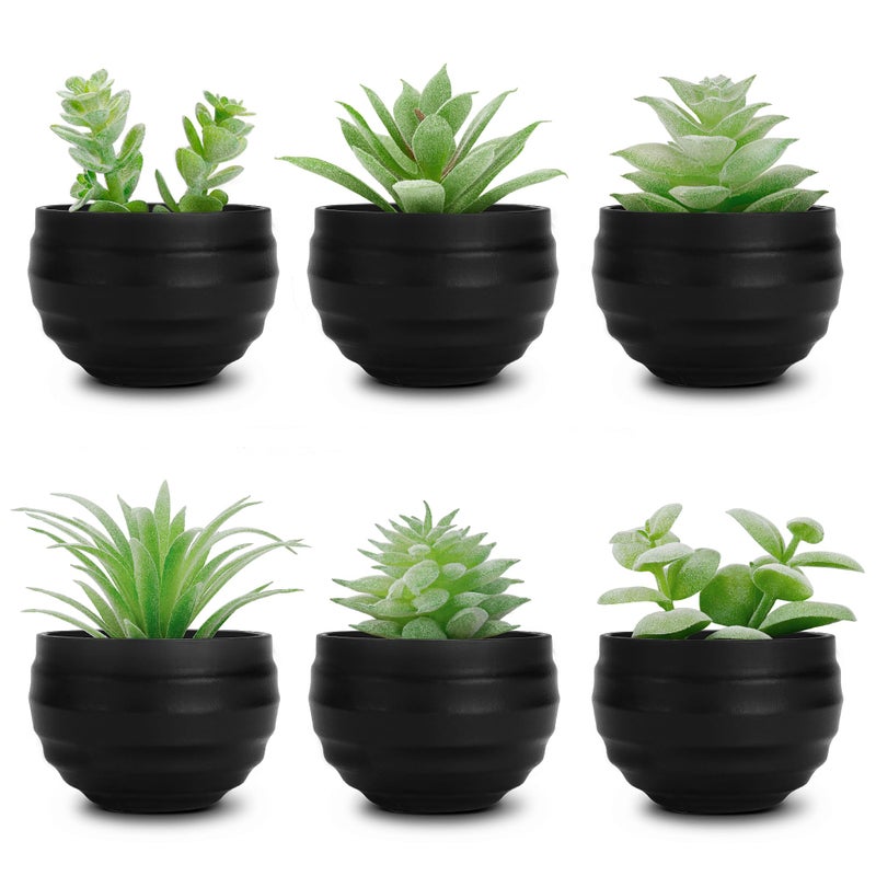 Der Rose Set of 6 Succulents Plants Artificial in Pots Small Fake Plants for Halloween Decorations Bedroom Living Room Office Shelf Black Bathroom Decor - Image 1