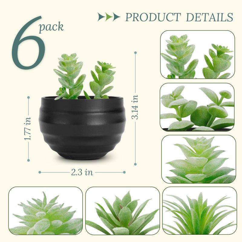 Der Rose Set of 6 Succulents Plants Artificial in Pots Small Fake Plants for Halloween Decorations Bedroom Living Room Office Shelf Black Bathroom Decor - Image 3