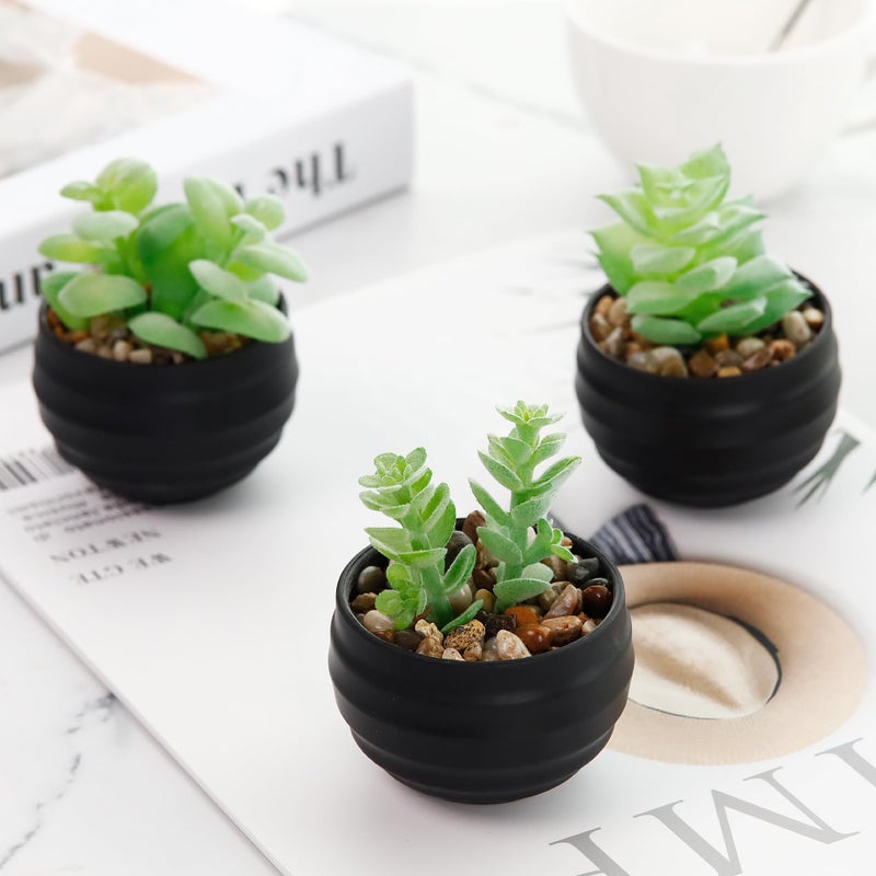 Der Rose Set of 6 Succulents Plants Artificial in Pots Small Fake Plants for Halloween Decorations Bedroom Living Room Office Shelf Black Bathroom Decor - Image 4