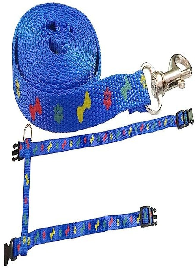 Pups&Pets طقم حزام ومقود من النايلون للقطط والقطط الصغيرة والحيوانات الأليفة الصغيرة | طوق وحزام تدريب للقطط (أزرق بنقشة مخالب) - Image 3