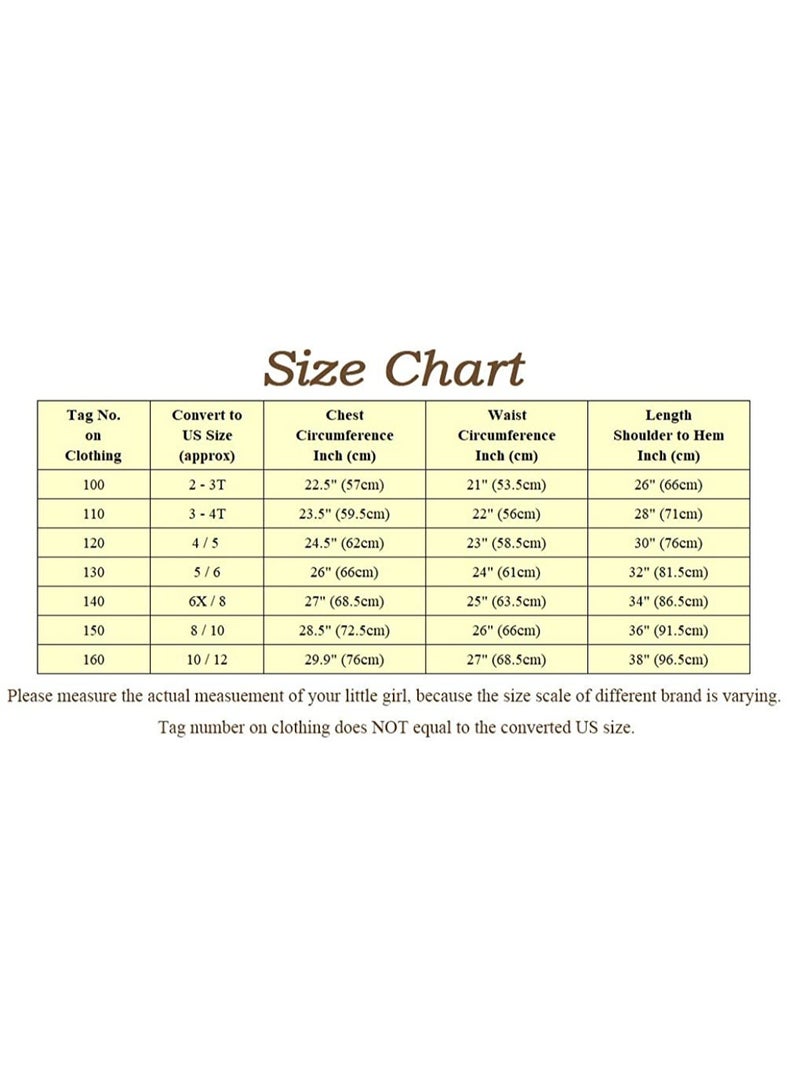 NIBEMINENT Frozen Princess Elsa dress, Elsa Anna dress, children's long-sleeved costume, performance costumedress - Image 2