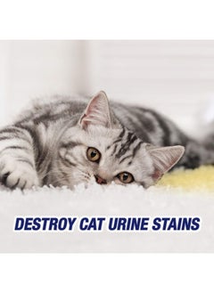 Resolve Urine Destroyer Spray Stain & Odor Remover, Transparent, No Flavor, 32 Fl Oz  - Image 4