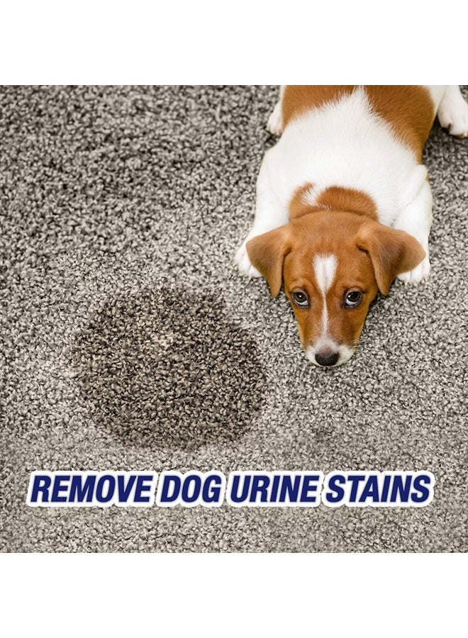 Resolve رذاذ تدمير البول لإزالة البقع والروائح، شفاف، بدون نكهة، 32 أونصة سائلة - Image 3