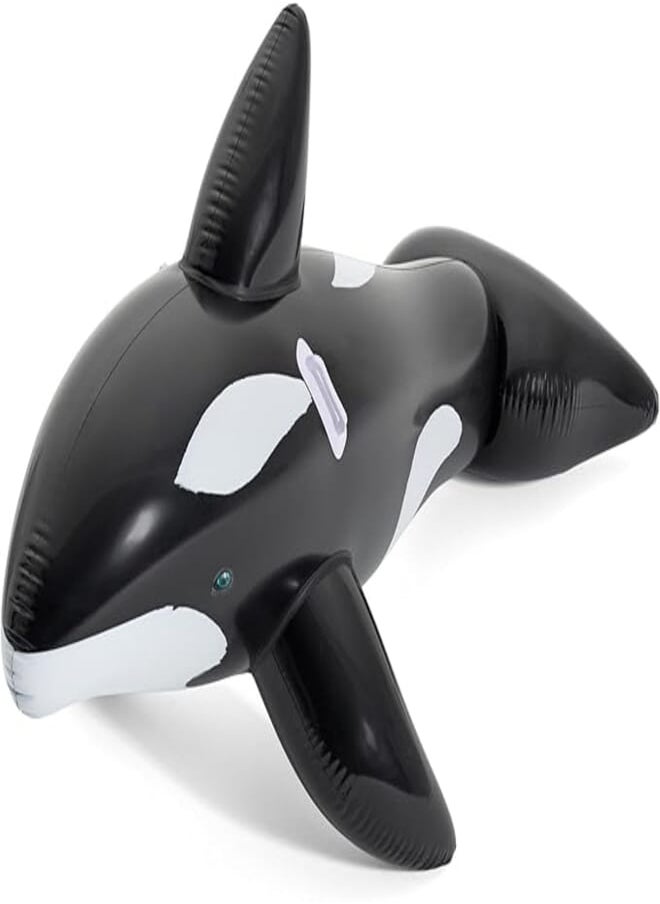 whale pool float, inflatable rubber ride on for kids 