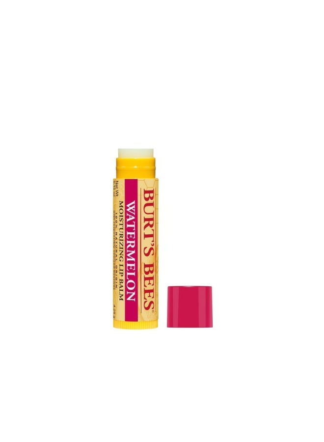 Burt's Bees Moisturizing Lip Balm Watermelon 4.25g - Image 1