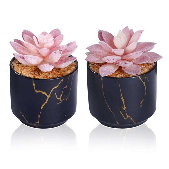 Succulent Artificial PlantsCute Fake Succulents in 2 Black Ceramic PotsSmall Fake Plants for OfficeTableDeskBathroom BedroomAesthetic Room Shelves DecorDesk Decorations for Women Office