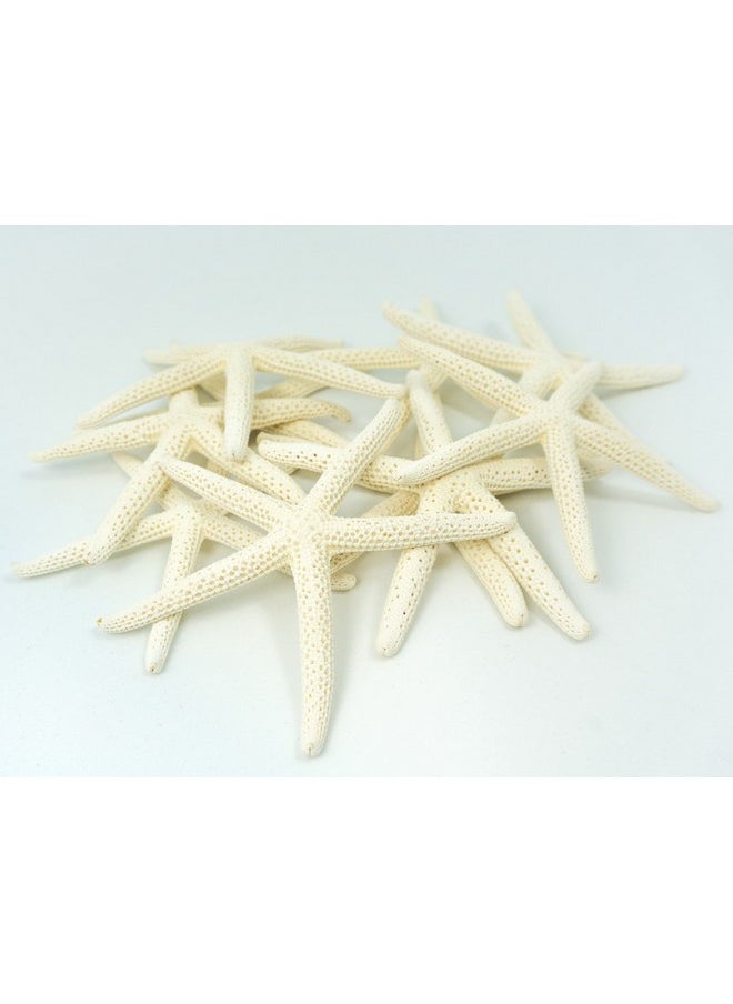 Nautical Crush Trading Starfish Decor - Star Fish For Craft - 10Pk Real 3-4" White Sea Stars - Beach Wedding Decor - Coastal Party Decorations - Seashell Decor - Shells For Crafts - Nautical Decor - Bulk Shells For Crafts  - Image 1