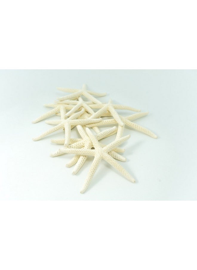 Nautical Crush Trading Starfish Decor - Star Fish For Craft - 10Pk Real 3-4" White Sea Stars - Beach Wedding Decor - Coastal Party Decorations - Seashell Decor - Shells For Crafts - Nautical Decor - Bulk Shells For Crafts  - Image 4