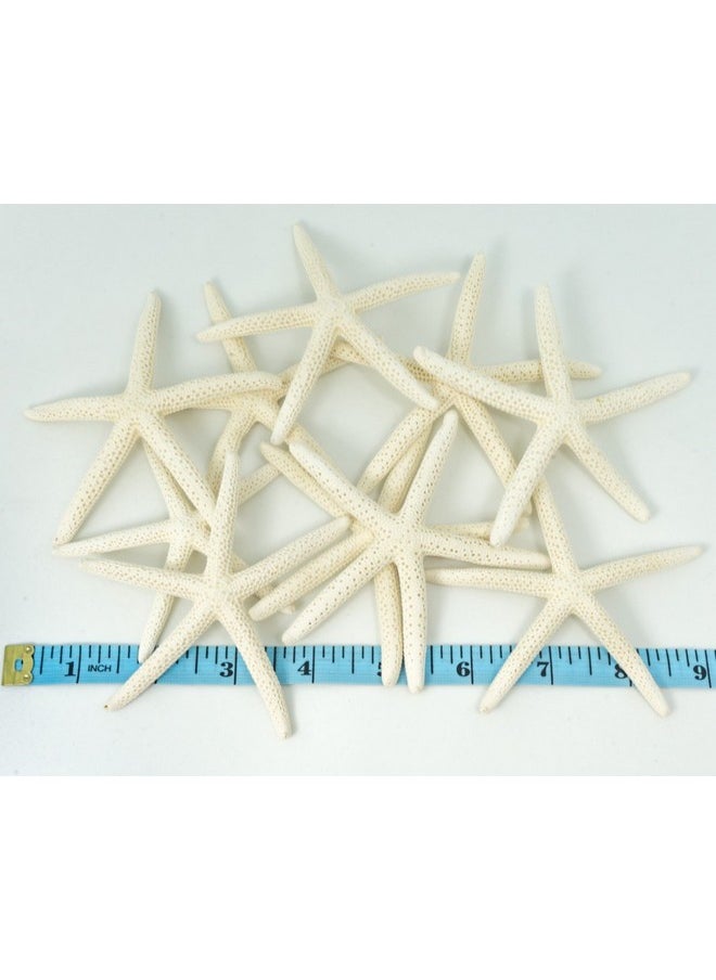 Nautical Crush Trading Starfish Decor - Star Fish For Craft - 10Pk Real 3-4" White Sea Stars - Beach Wedding Decor - Coastal Party Decorations - Seashell Decor - Shells For Crafts - Nautical Decor - Bulk Shells For Crafts  - Image 3