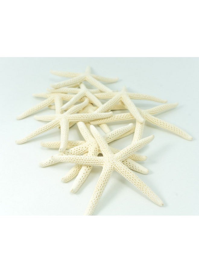 Nautical Crush Trading Starfish Decor - Star Fish For Craft - 10Pk Real 3-4" White Sea Stars - Beach Wedding Decor - Coastal Party Decorations - Seashell Decor - Shells For Crafts - Nautical Decor - Bulk Shells For Crafts  - Image 2