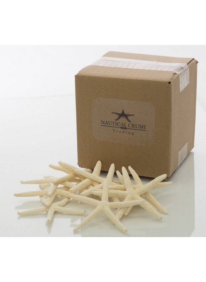Nautical Crush Trading Starfish Decor - Star Fish For Craft - 10Pk Real 3-4" White Sea Stars - Beach Wedding Decor - Coastal Party Decorations - Seashell Decor - Shells For Crafts - Nautical Decor - Bulk Shells For Crafts  - Image 5