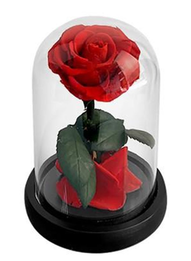 wardi Small Red Infinity Rose In A Dome
