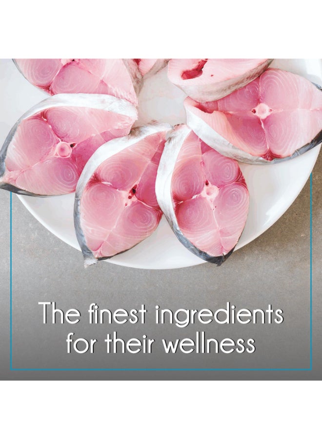 PUREPET طعام جاف للقطط - سمك المحيط - Image 5