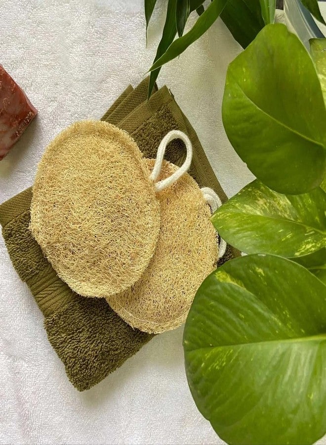 SS Natural Loofah Bath Sponge, Sponge Gourd Fiber, for Gentle Exfoliation, Set of 2 [with this Free Bamboo wood Toothbrush ] - Image 1