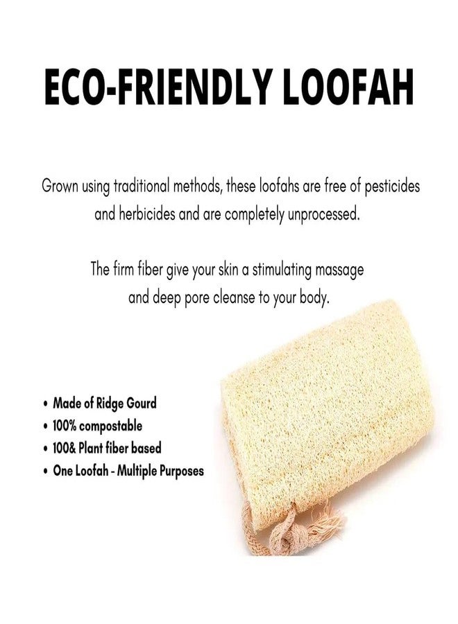 SS Natural Loofah Bath Sponge, Sponge Gourd Fiber, for Gentle Exfoliation, Set of 2 [with this Free Bamboo wood Toothbrush ] - Image 2