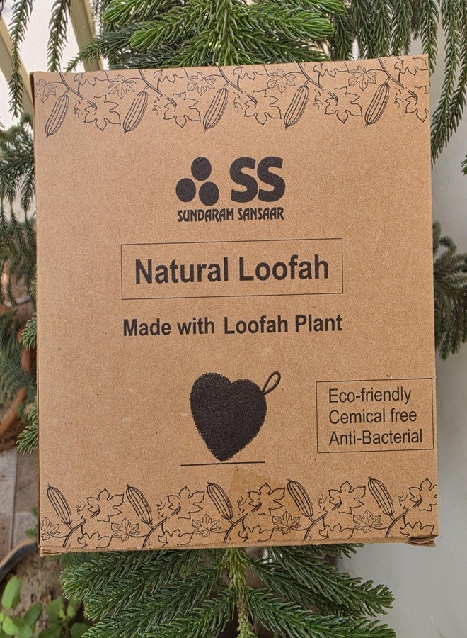 SS Natural Loofah Bath Sponge, Sponge Gourd Fiber, for Gentle Exfoliation, Set of 2 [with this Free Bamboo wood Toothbrush ] - Image 3