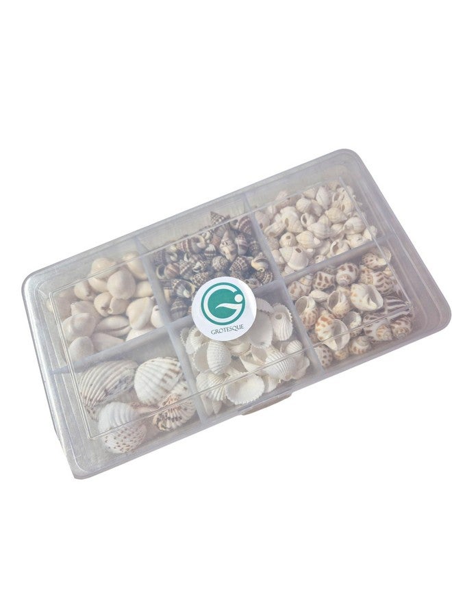 Decorama Multiple Styles Sea Stones & Shells For Art & Craft - 400gm | Craft Shell For Decoration Purpose, Art & Craft, Home Doctor & Resin Art | Aquarium & Garden Decorative Stones - Pack of 6 - Image 4