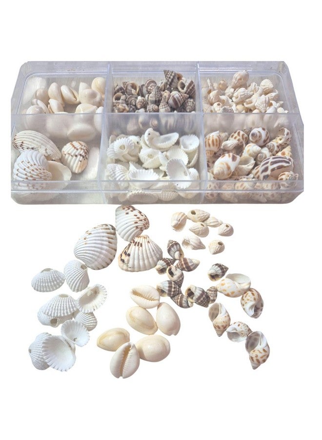 Decorama Multiple Styles Sea Stones & Shells For Art & Craft - 400gm | Craft Shell For Decoration Purpose, Art & Craft, Home Doctor & Resin Art | Aquarium & Garden Decorative Stones - Pack of 6 - Image 1