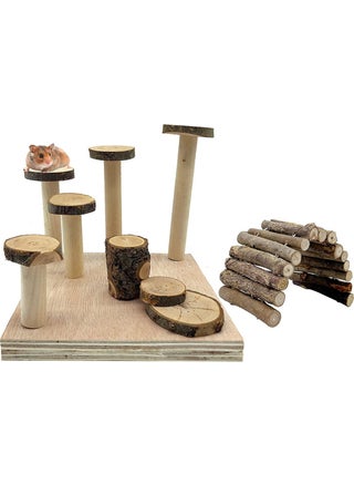 Set of 2 Hamster Playground Bendy Bridge Set Dwarf Hamster - pzsku/ZF4657991F6145A3747C9Z/45/_/1730556849/5264c7f7-197e-4a8f-a5a0-66538a608cfe