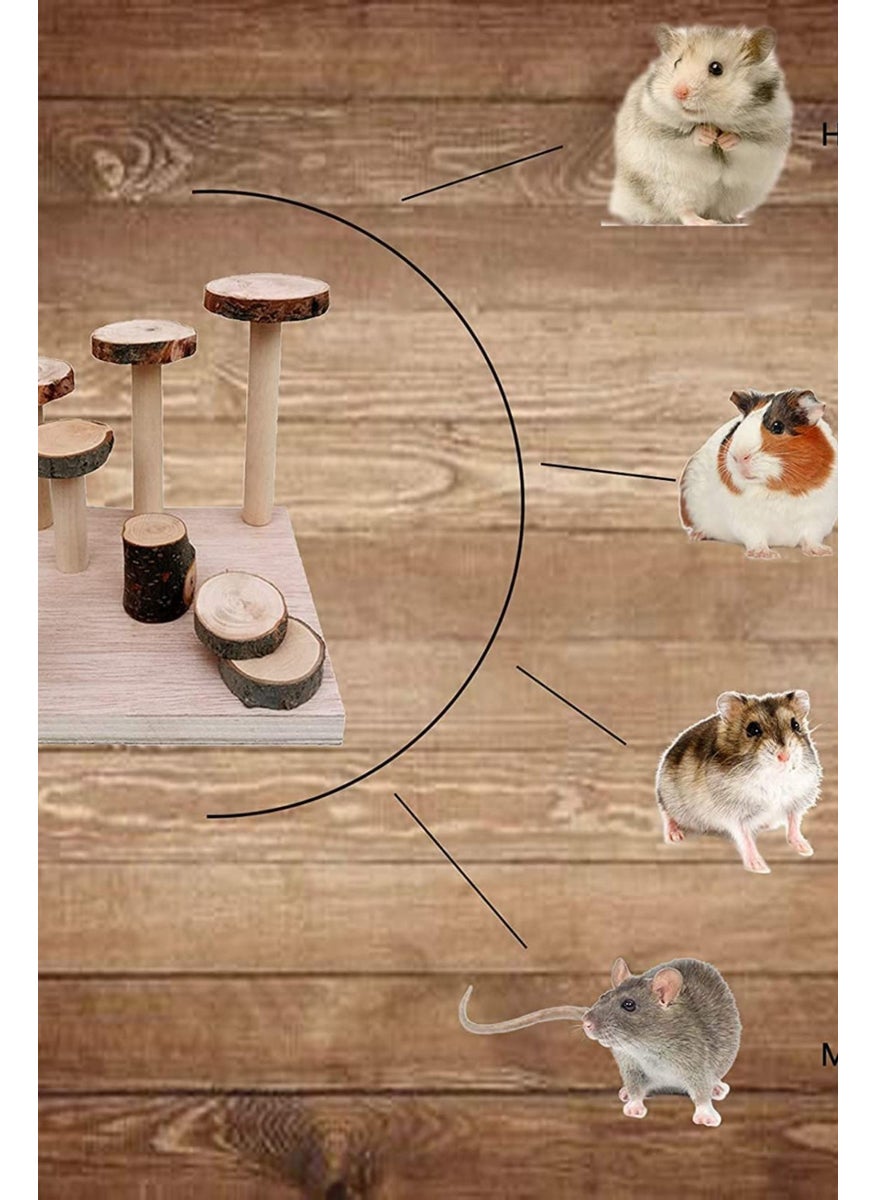 Alyones - Set of 2 Hamster Playground Bendy Bridge Set Dwarf Hamster - Image 1