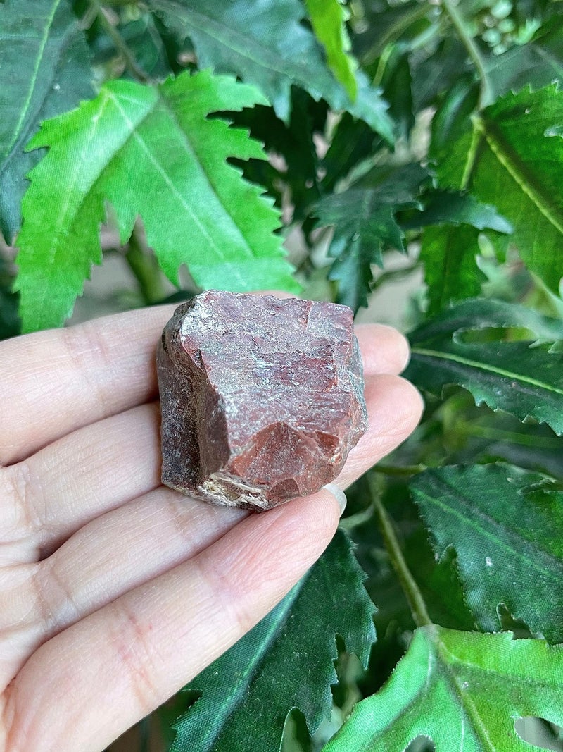 GAF TREASURES Wholesale Raw Bloodstone Crystals, Natural Bloodstone Stone, Natural Rough Bloodstone Crystals, Bloodstone Rough, Bloodstone Healing Crystals (Bloodstone, 0.25 Pound) - Image 3