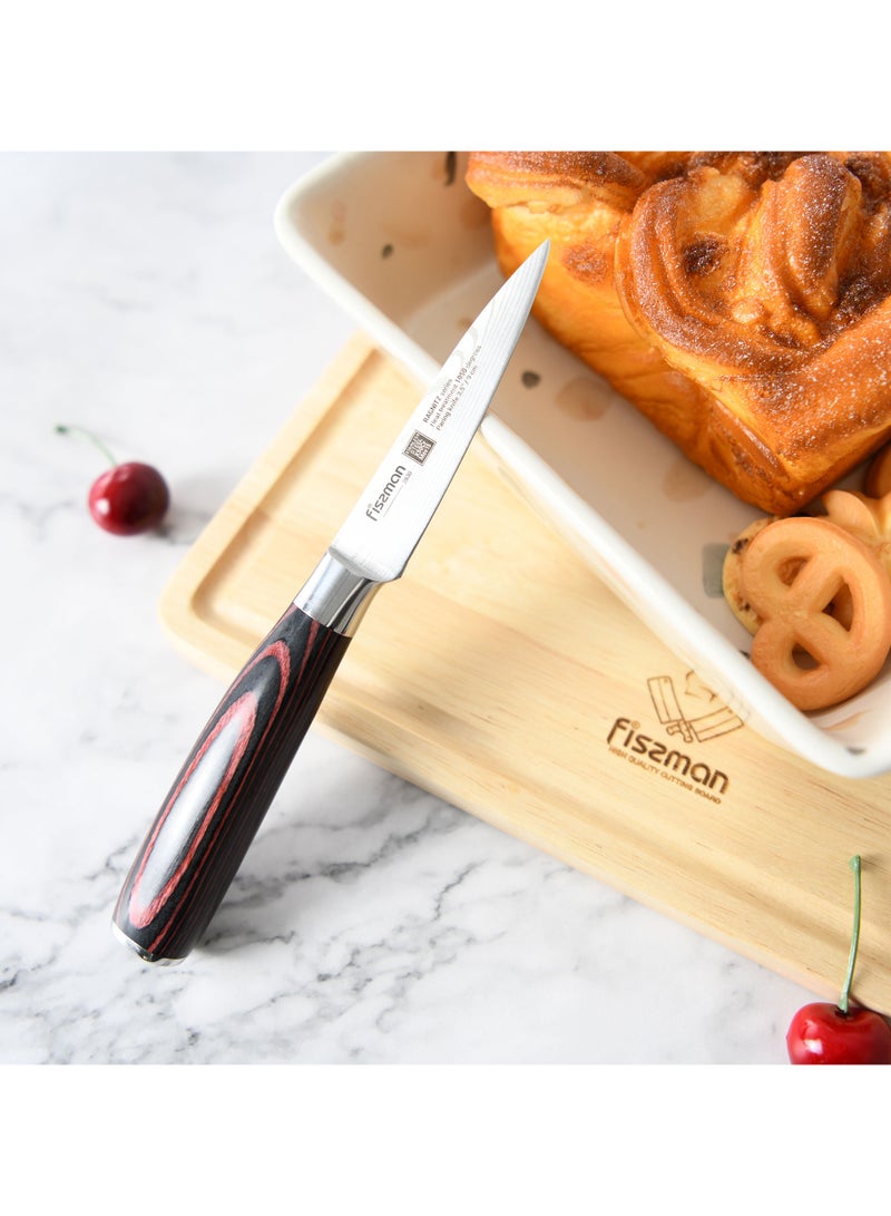 فيسمان سكين ياباني مقاس 3.5 بوصة، سلسلة راجنيتز من السبائك الألمانية X50CrMoV15 مصنوعة من الفولاذ المقاوم للصدأ - Image 1