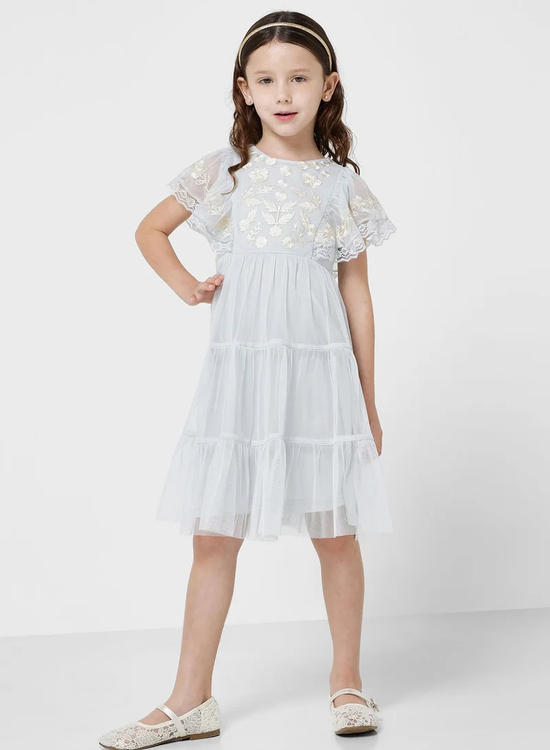 Frock and Frill Embroidered Mesh Dress
