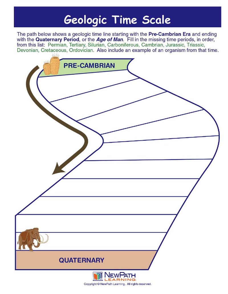 New Path Learning NewPath Learning-947122 Geologic Time Scale Visual Learning Guides, Set/5-4-Panel, 11" x 17" Laminated Guides, Full-Color Graphic Overview, Write-On/Wipe-Off Activities - Image 3