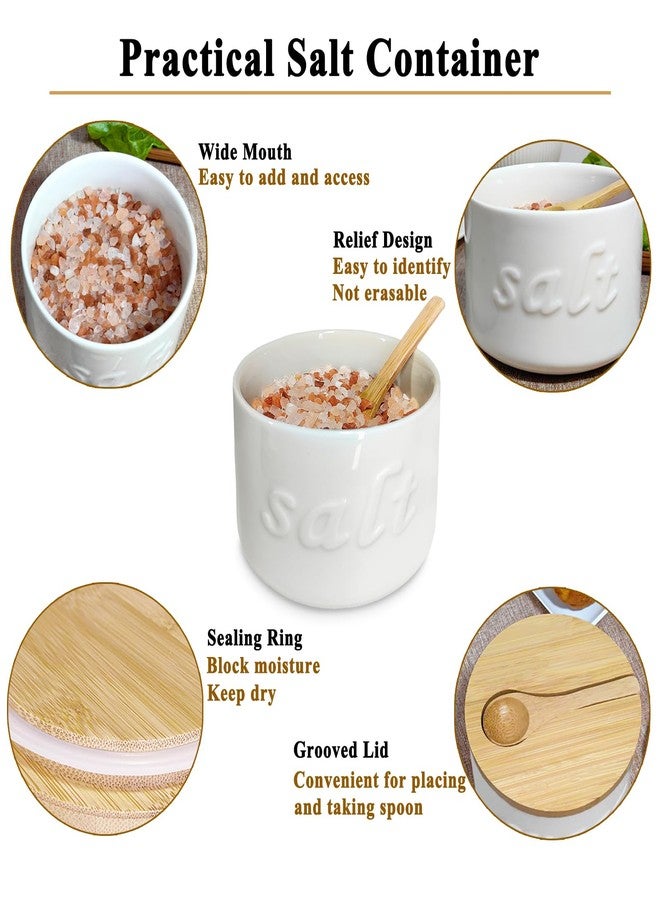 NAXIHOPT Salt Cellar with Lid and Spoon, 16 OZ Airtight Salt Container for Countertop, Ceramic Storage Container for Spices, White - Image 3