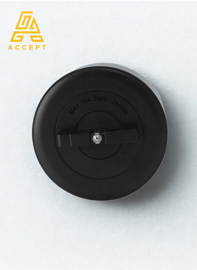 اكسبت فيش 13 أمبير Type-C & USB يعمل على مجرى الأفياش الكهربائي ACCEPT  - Image 2