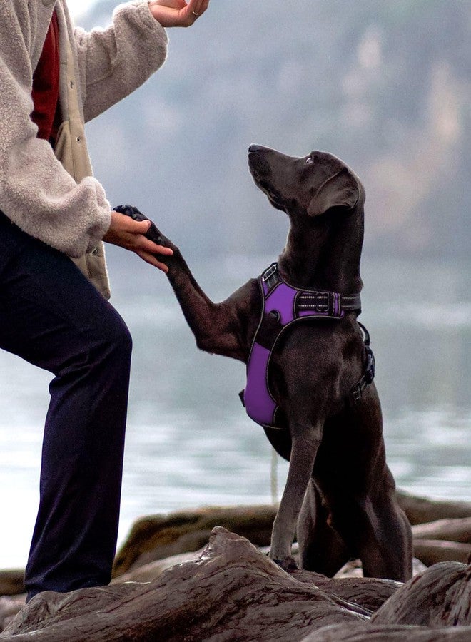 Joytale No Pull Dog Harness for Large Dogs, Reflective Pet Vest with Front Clip, Adjustable Soft Padded Harnesses with Easy Control Handle for Training and Walking, Purple, L - Image 3