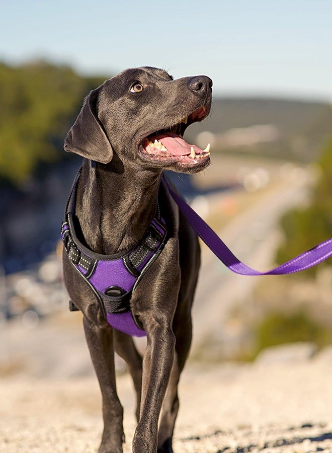 Joytale No Pull Dog Harness for Large Dogs, Reflective Pet Vest with Front Clip, Adjustable Soft Padded Harnesses with Easy Control Handle for Training and Walking, Purple, L - Image 4