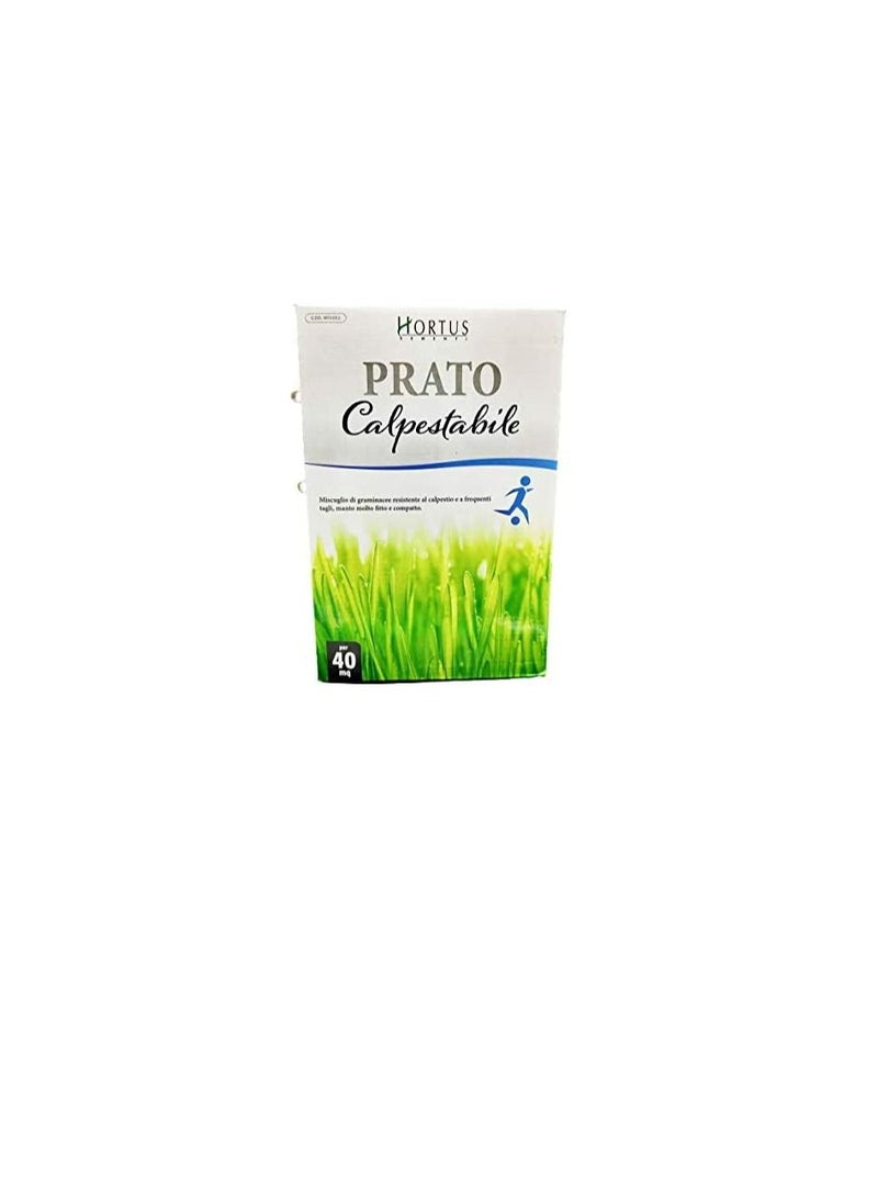 Generic Hortus Sementi Prato Grass Seeds (1Kg)  - Image 1